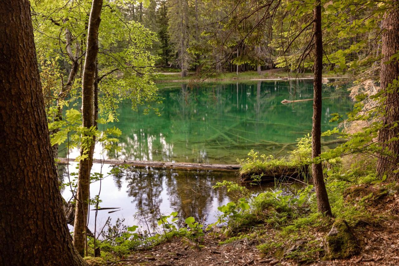 Almhuetten Sonnblick & Almfried Sonnenalpe Nassfeld Exteriör bild